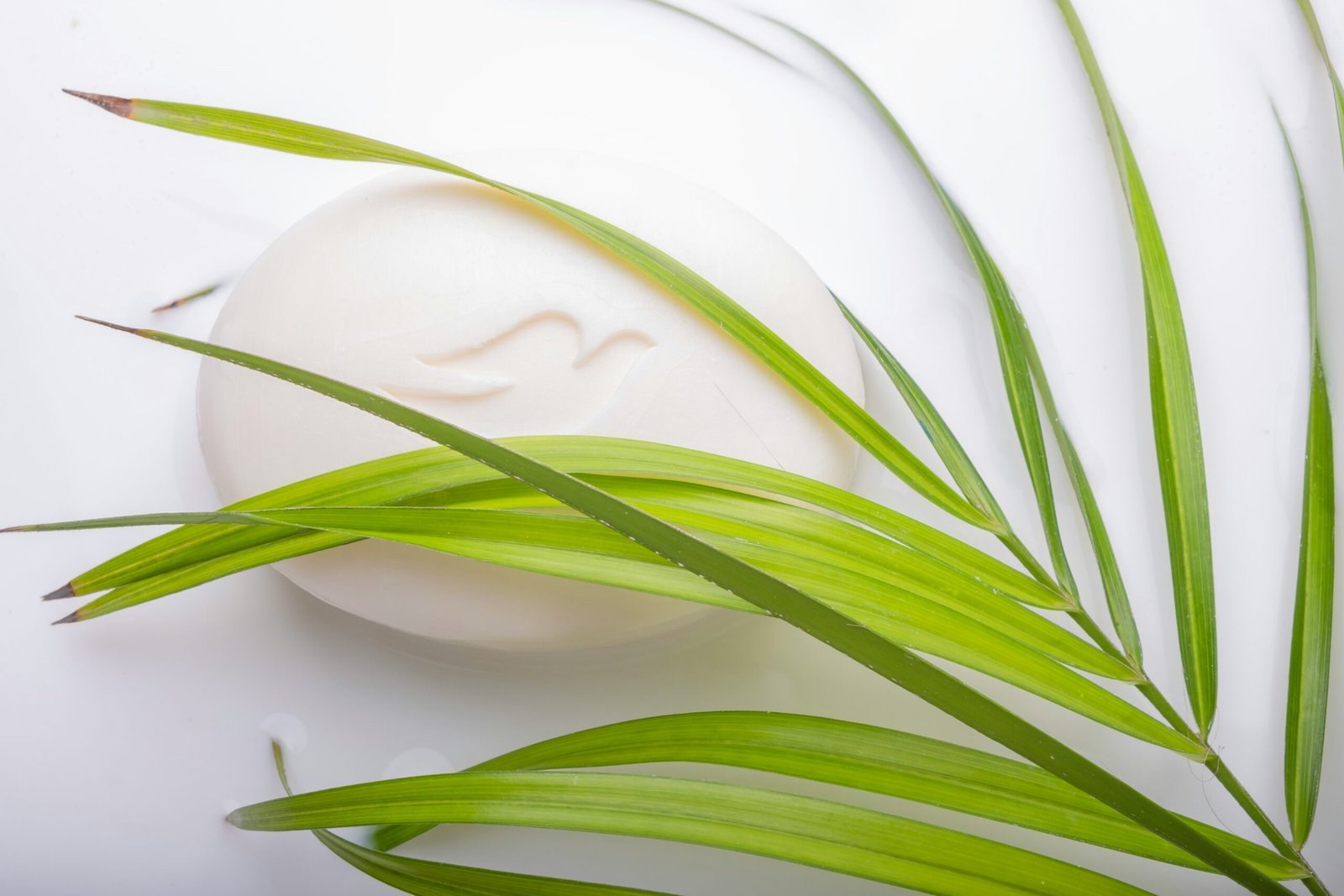 a close up of a soap on a white surface